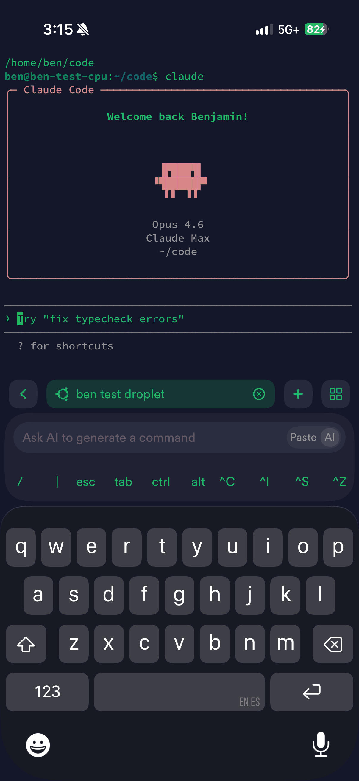 Terminal session on mobile phone showing Claude Code running on a remote VM